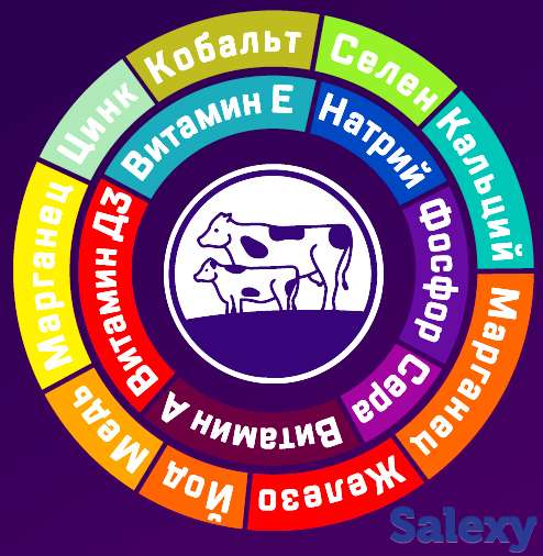 Надёжная защита здоровья быков, коров и овец, фотография 3