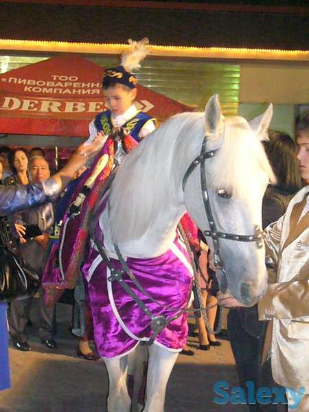 сундет белый конь, фотография 2