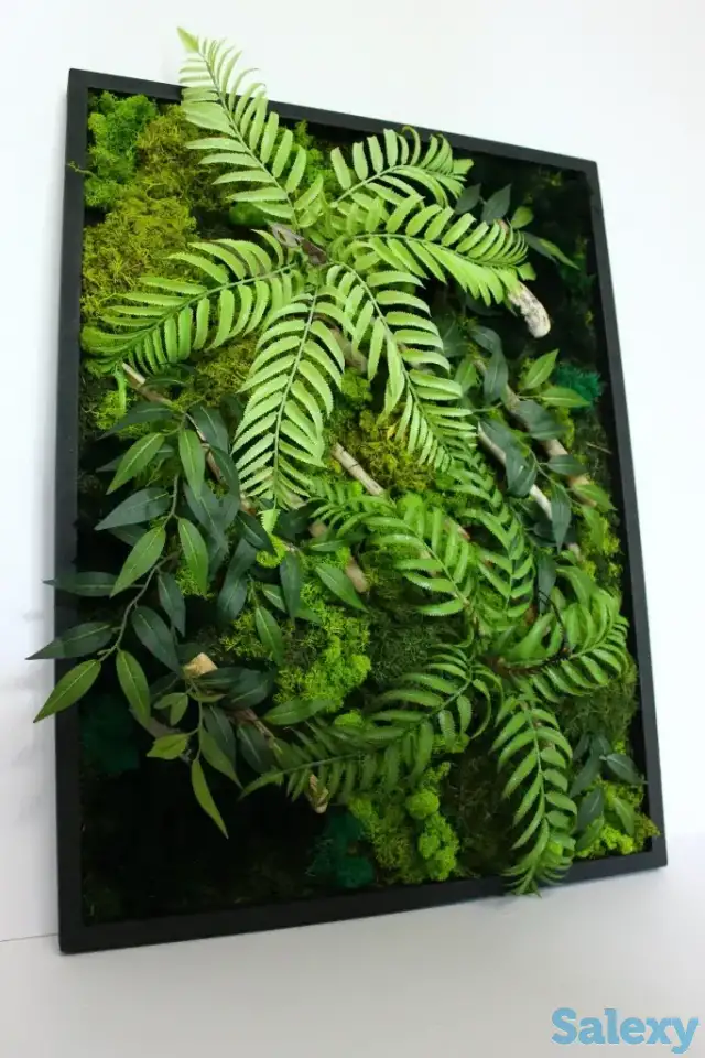 Картины из стабилизированного мха, фотография 3