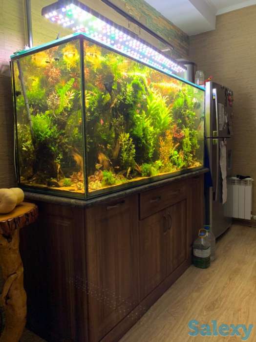 Аквариум под ключ на 865 литров, фотография 1