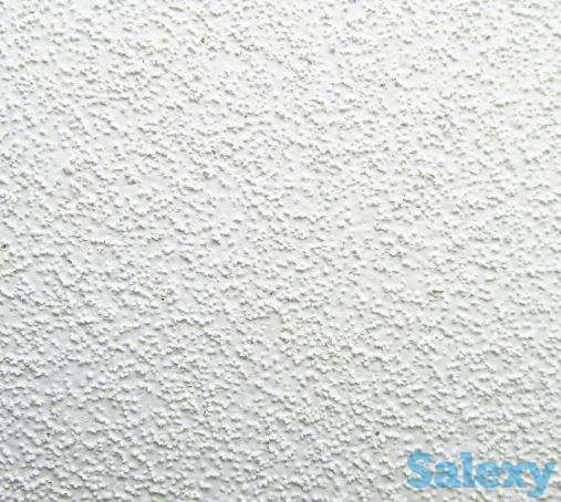 Oasis - 12мм, фотография 1