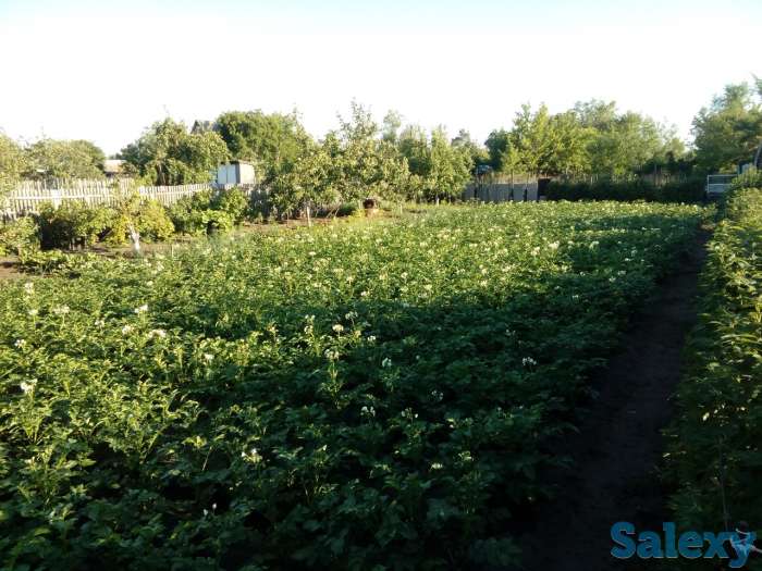 Продам дачу!, фотография 6