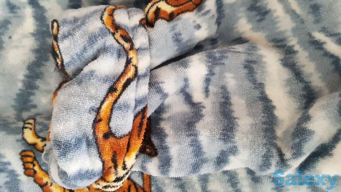 Махровый халат 50 р., фотография 2