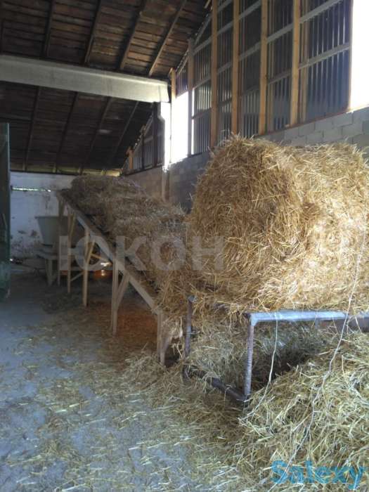 Транспортер подачи круглых рулонов с разматывателем, фотография 1