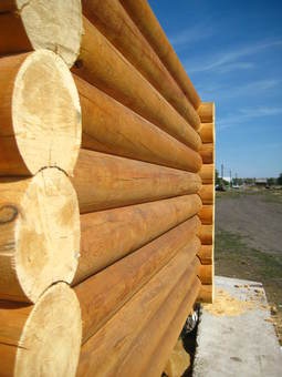 Сруб из оцилиндрованного бревна., фотография 1