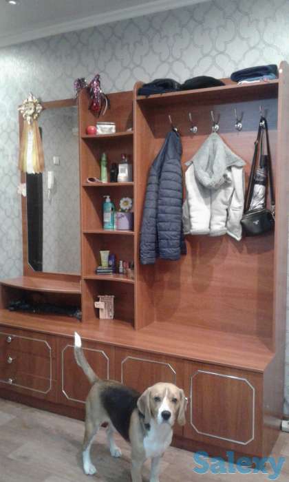 продам шкаф-прихожку., фотография 1