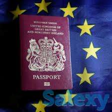 Профессиональная помощь в получении ВНЖ в Европе., фотография 1