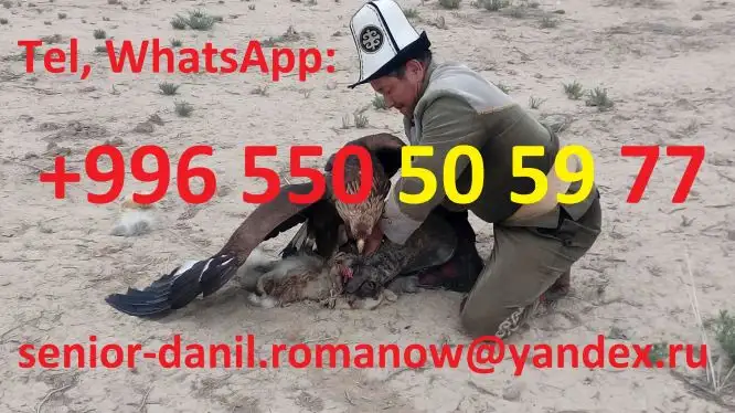 Туризм в Кыргызстане, путешествия, горы, трэки в Киргизии, гид, водитель, туры, фотография 5