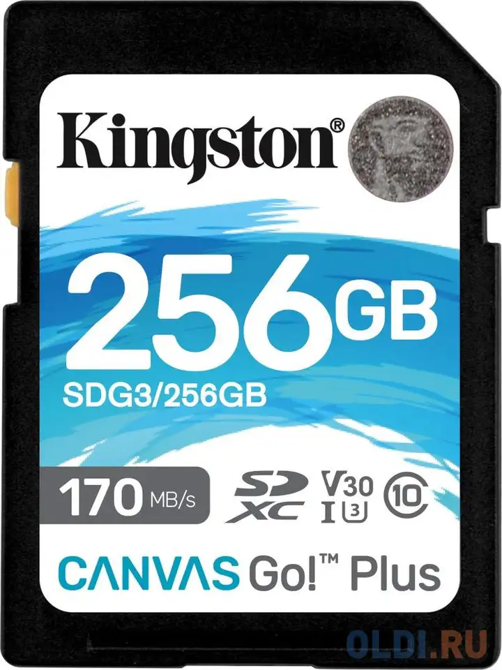 Карта памяти sdxc kingston canvas go plus, 256 гб, uhs-i class, фотография 1