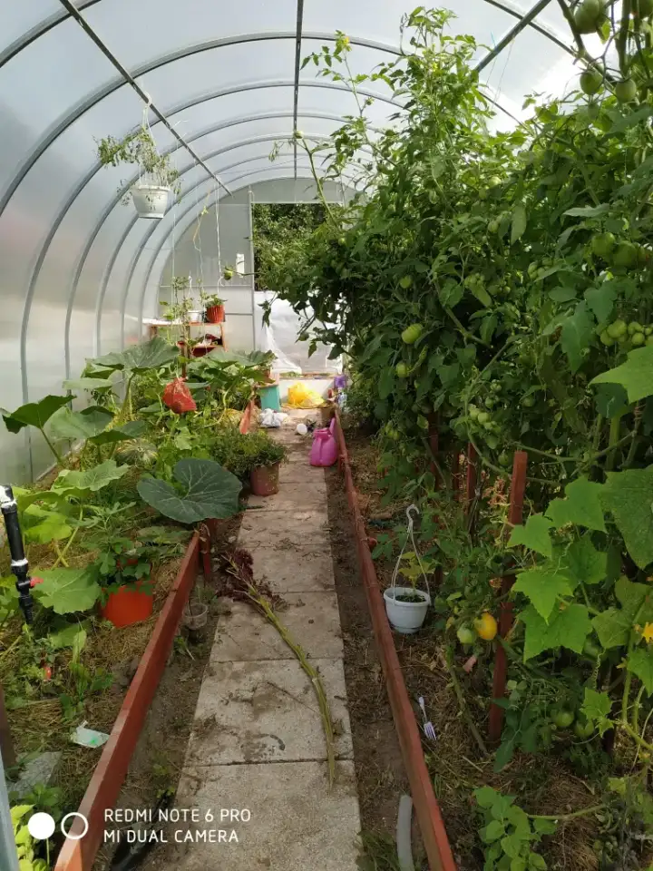 Добротный дом в 2,5 часах от Питера, Псковская обл,пос.гор.типа Струги Красные, фотография 7