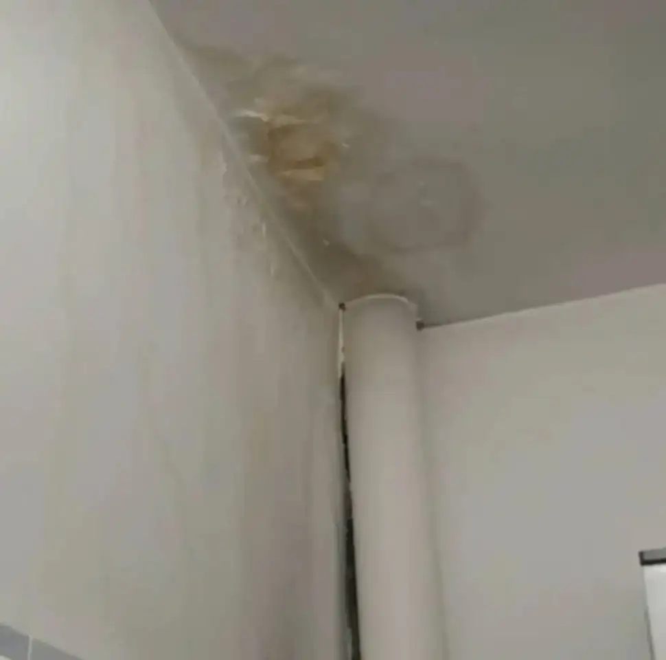 Удаление пятен на потолке 100 гарантия, фотография 1