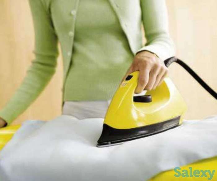 Гладильщица, фотография 1