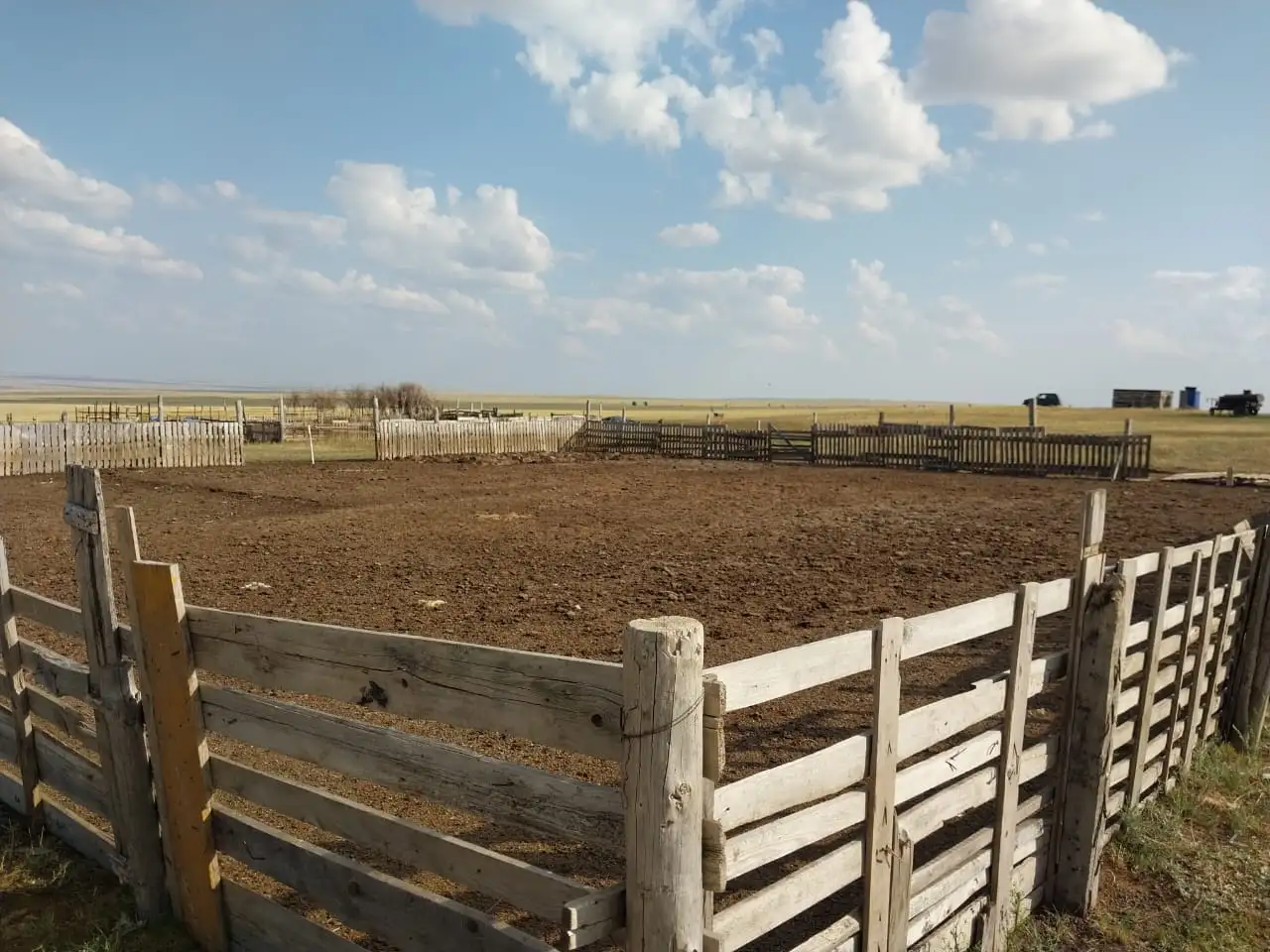 Продам готовое КХ, фотография 8