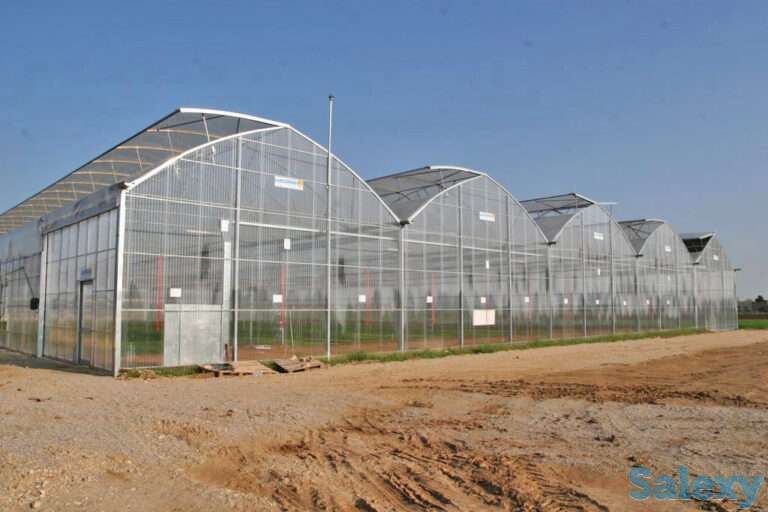 Профессиональные теплицы oriente ts, oriente rus, atlantic, фотография 1