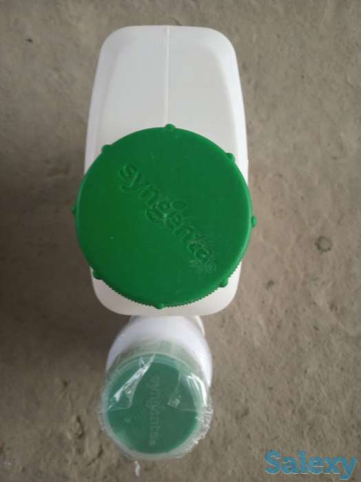 Проклэйм, фотография 2