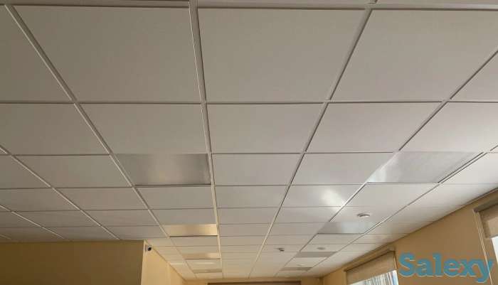 Потолки Армстронг, фотография 4