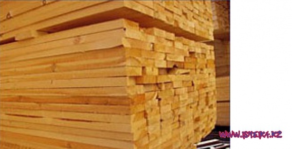 лес, фотография 1