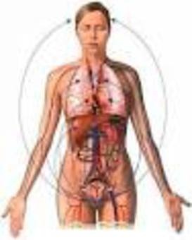 самые луччшие лечебные тампоны! древнекитайский рецепт открыт для вас! все в описании!, фотография 2