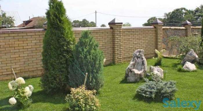 полив, газон, озеленение, фотография 2