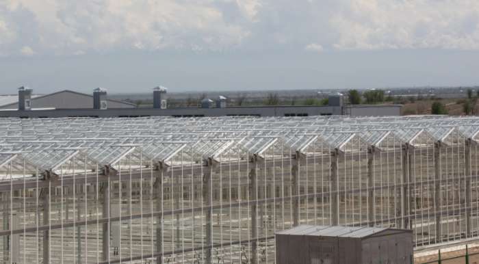 производство и строительство теплиц, фотография 3