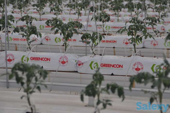 Современная турецкая теплица под ключ. Есть 4 варианта теплицы., фотография 4