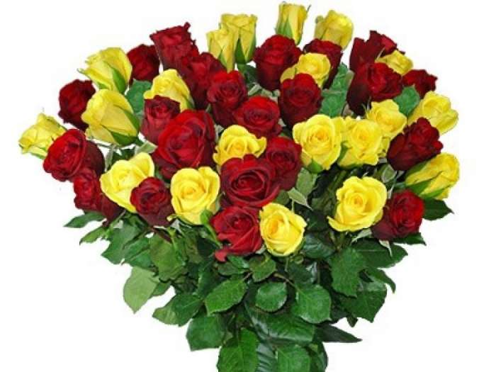 Цветочный мир 