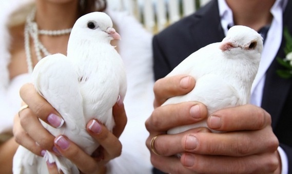 видео съемка, фотография 1