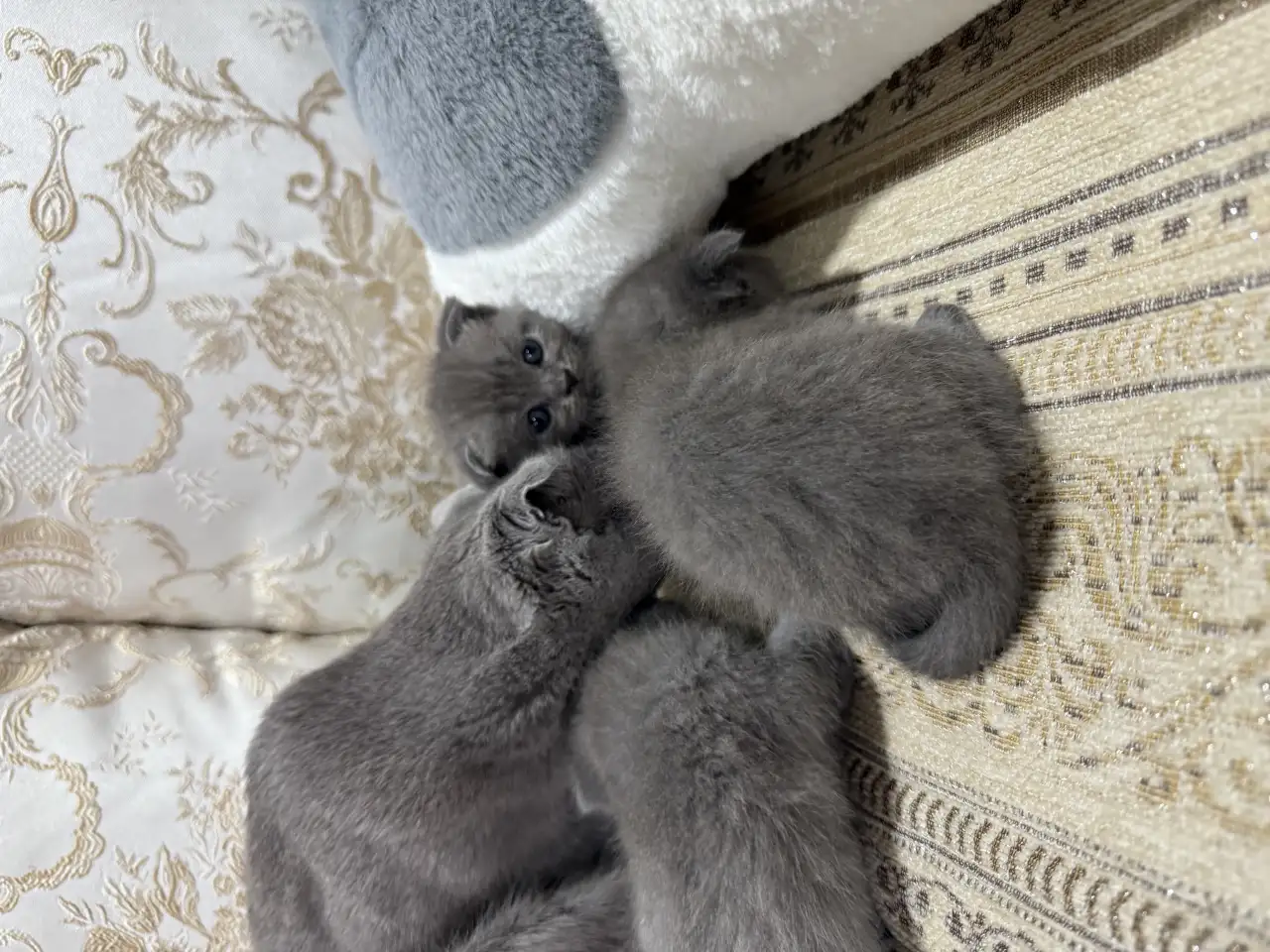 pavlenko100495icloud.com, фотография 3