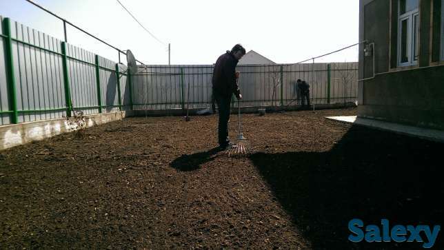 посадка газона, фотография 1