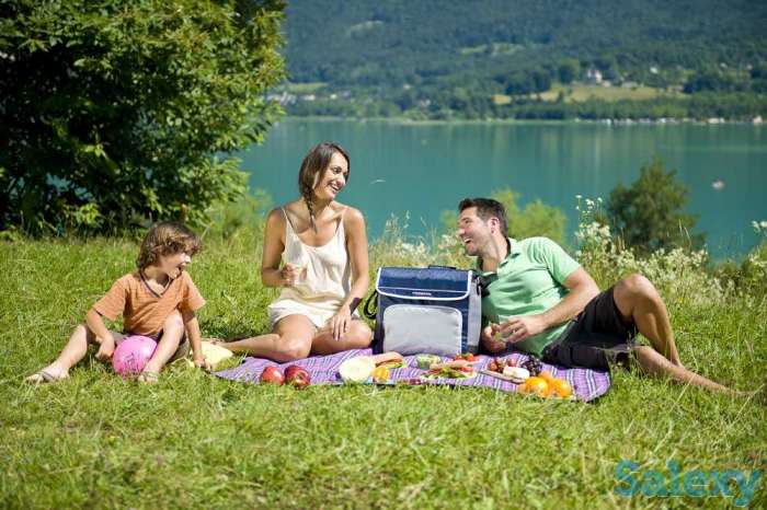 Сумка - холодильник campingaz fold'n cool 30л, фотография 3