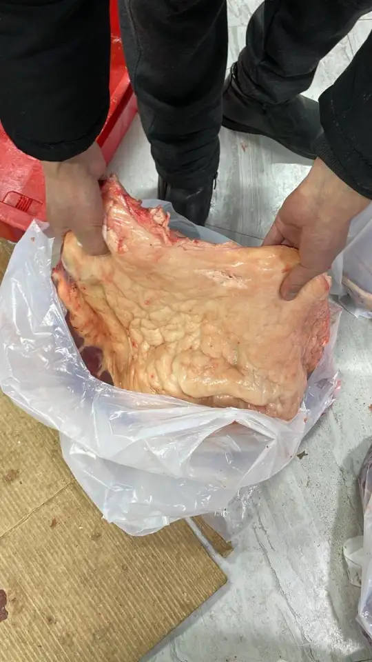 лошади согым, фотография 4