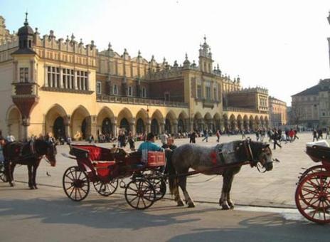 Преподаватель польского языка по Skype, фотография 2