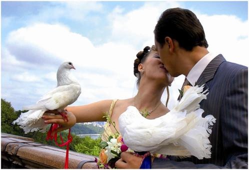 Свадебная фотосъемка, фотография 1