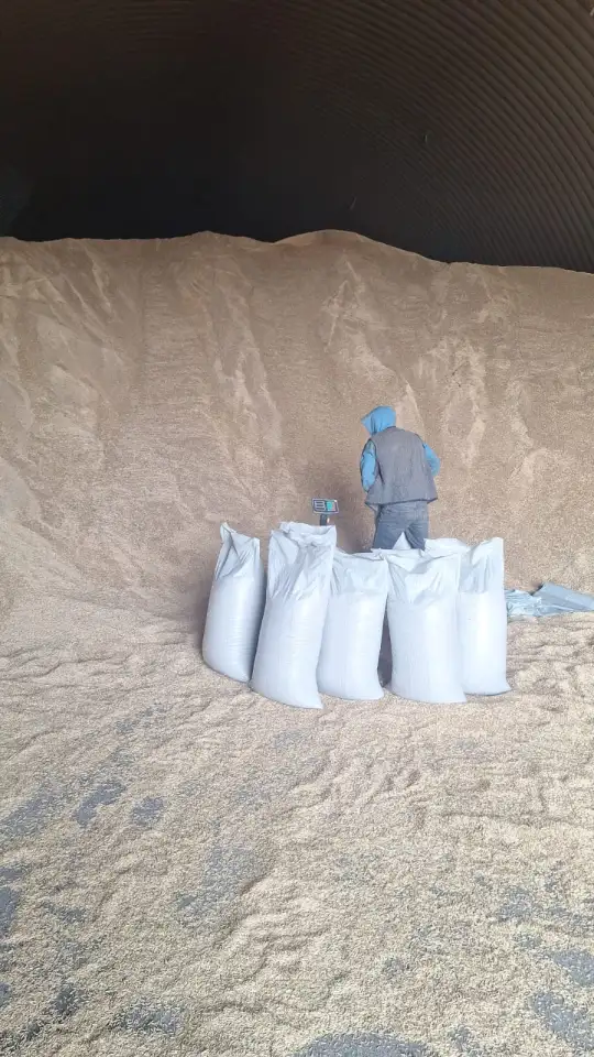 ЗЕРНО В МЕШКАХ, ОТРУБИ, МУКА, СЕЧКА, ЯЧМЕНЬ, ОВЕС, фотография 1