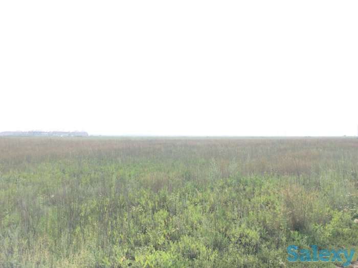 Продам земельный участок 5 га, фотография 2