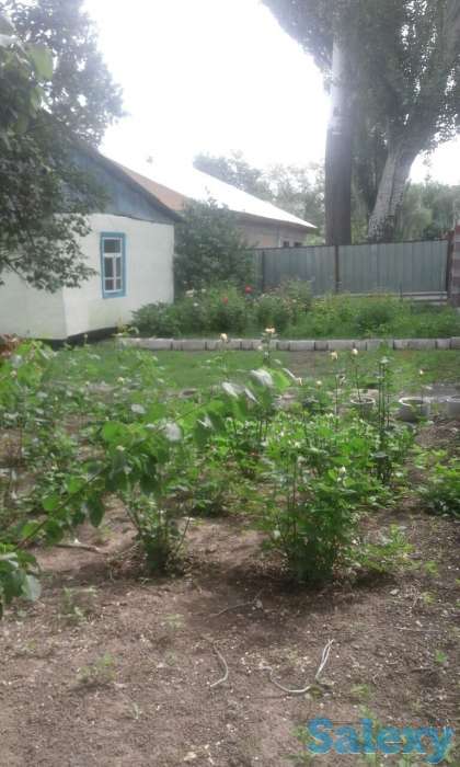 дом, село Балтабай, улица Школьная 24, фотография 6