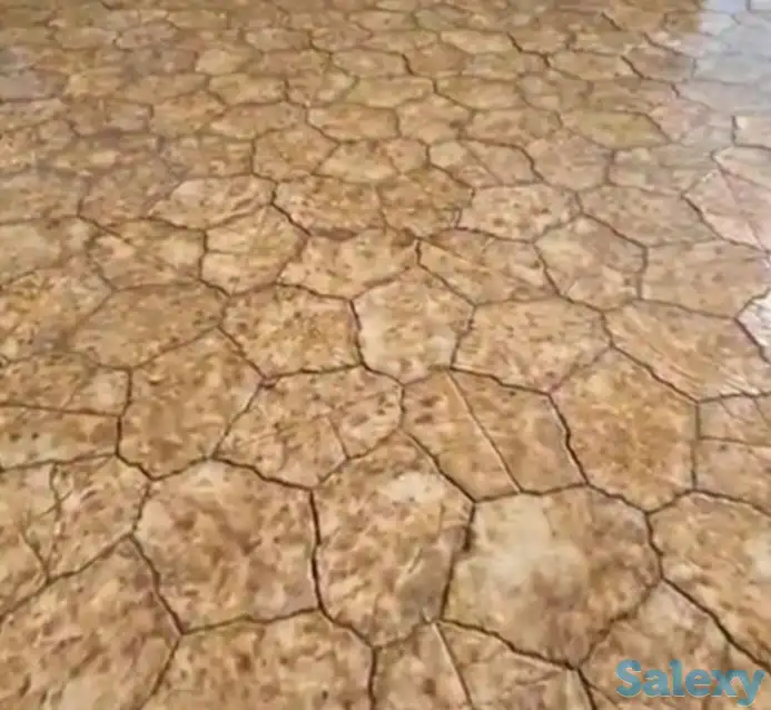 Ищу компаньона или инвестора, фотография 9