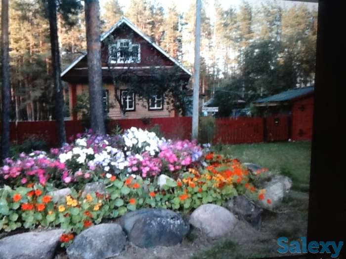 Добротный зимний дом в красивейшем месте, область,Хвойнинский район,ст.Кабожа, фотография 5