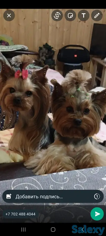 Продам, фотография 3