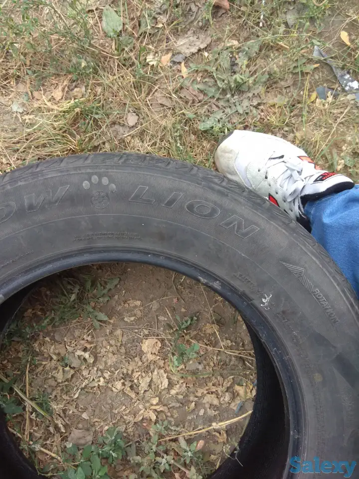 шины, фотография 2