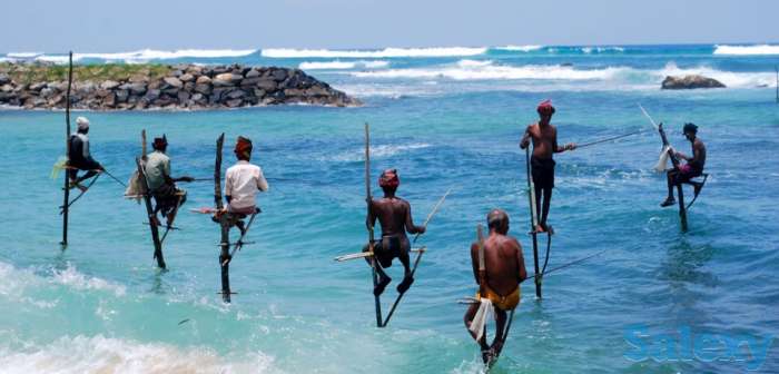 Завораживающее путешествие на Шри - Ланку., фотография 5