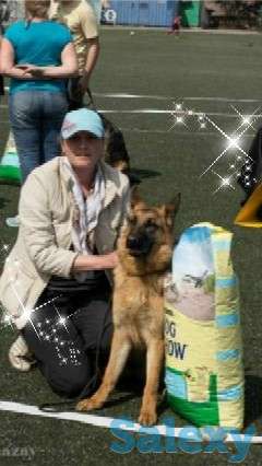 Инструктор-кинолог, фотография 1