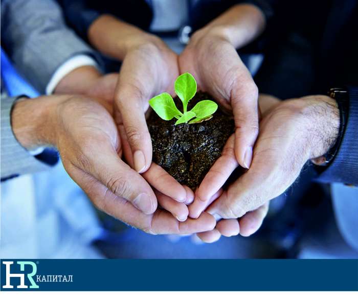 «Система повышения эффективности компании», фотография 1