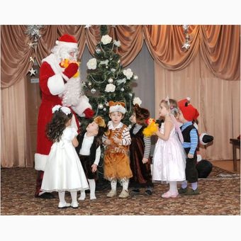 Дед Мороз и Снегурочка на дом!, фотография 4