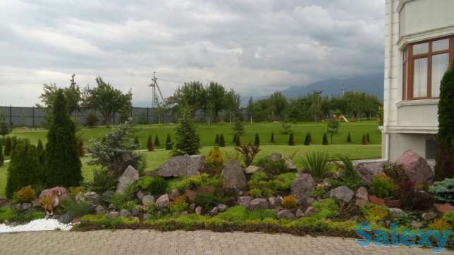 ремонт восстановление газона, фотография 11