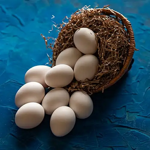 Продаём муку, отруби, яйца, макаронные изделия, печенья оптом от производителя, фотография 5