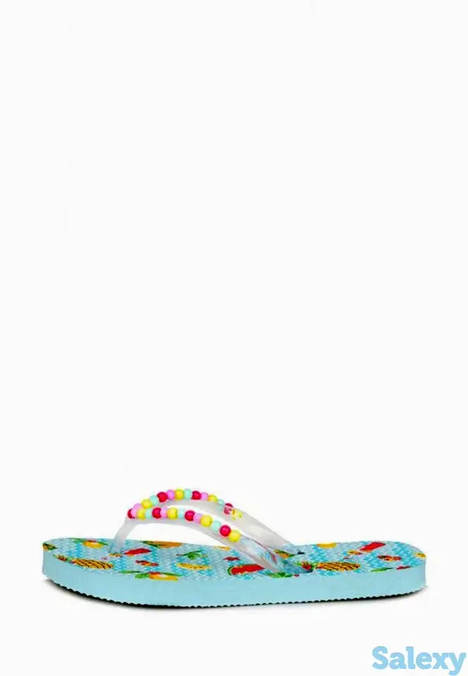 Сланцы t.taccardi, фотография 2