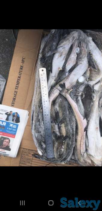 Морепродукты, фотография 2