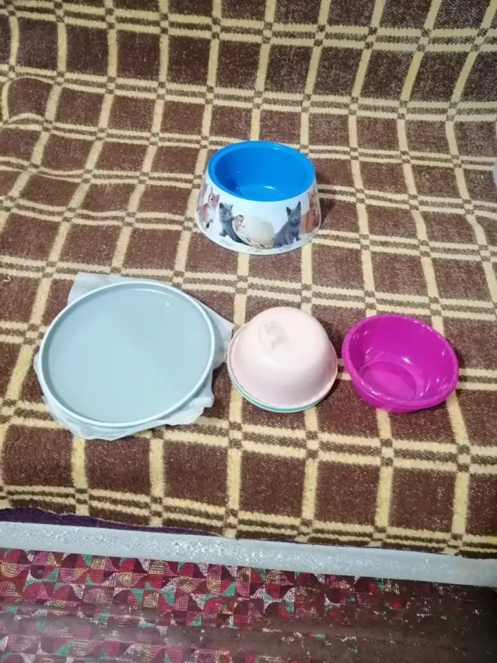 Миски для кошек, фотография 5