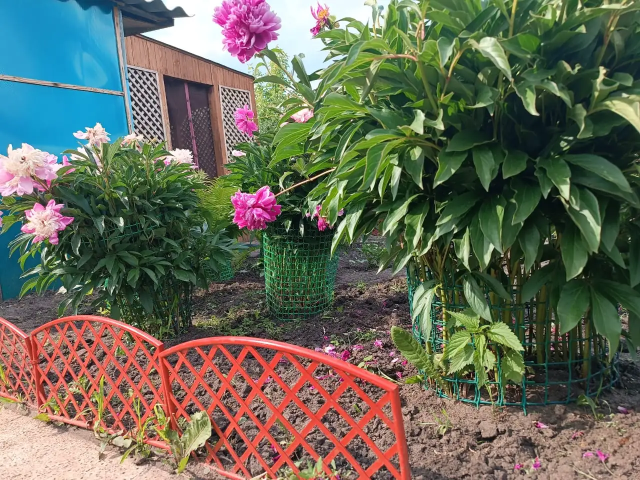 Продам дачу остановка поворотная, фотография 5